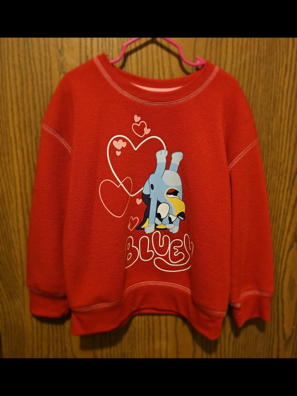 Kids Red Graphic Sweatshirt with Playful Bluey Valentines Design